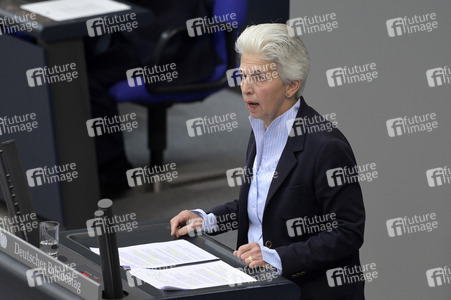 181. Sitzung des Deutschen Bundestages in Berlin