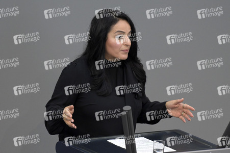 181. Sitzung des Deutschen Bundestages in Berlin