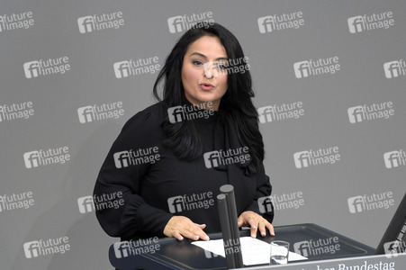 181. Sitzung des Deutschen Bundestages in Berlin