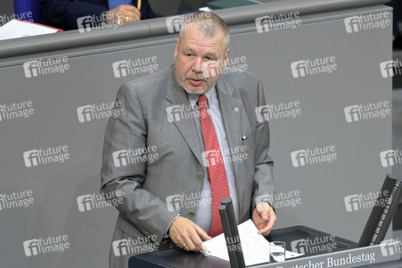 181. Sitzung des Deutschen Bundestages in Berlin