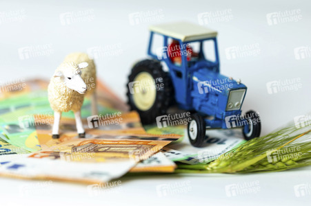 Symbolfoto Agrarsubvention