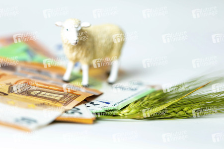 Symbolfoto Agrarsubvention