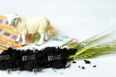 Symbolfoto Agrarsubvention