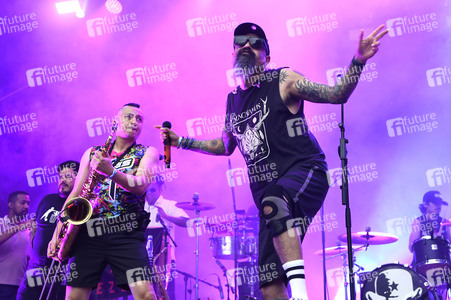 Fährmannsfest 2024 in Hannover