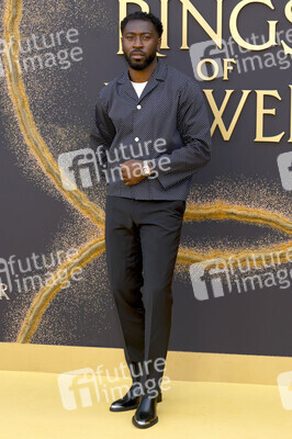 Season 2 Premiere 'Der Herr der Ringe: Die Ringe der Macht' in London