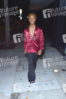 Christopher Cooper in Los Angeles