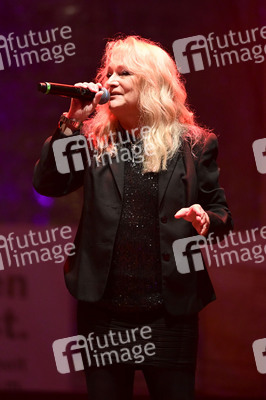 30. Görlitzer Altstadtfest in Görlitz