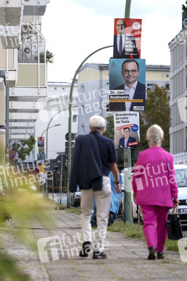 Wahlplakate zur Brandenburger Landtagswahl in Potsdam