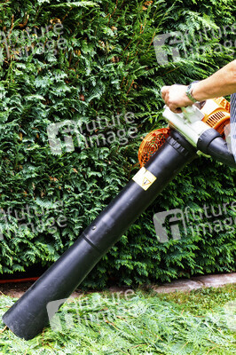 Symbolfoto Hecke schneiden