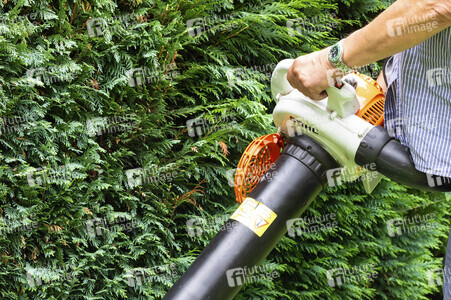 Symbolfoto Hecke schneiden