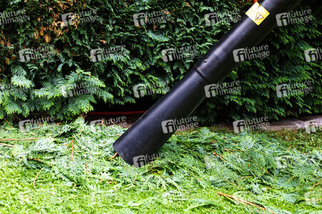 Symbolfoto Hecke schneiden