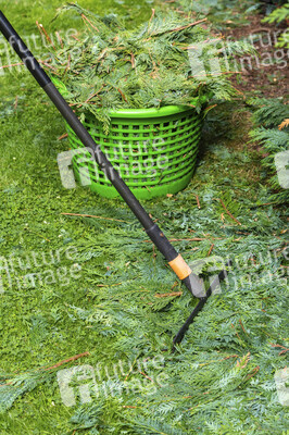 Symbolfoto Hecke schneiden