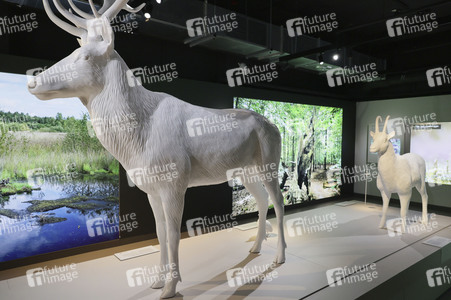 Ausstellungseröffnung 'Botschaft der Wildtiere' in Hamburg