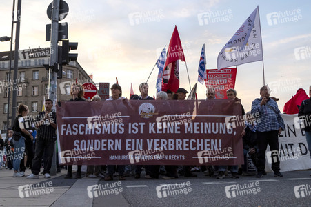 Demo gegen AfD in Hamburg