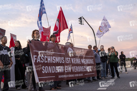 Demo gegen AfD in Hamburg