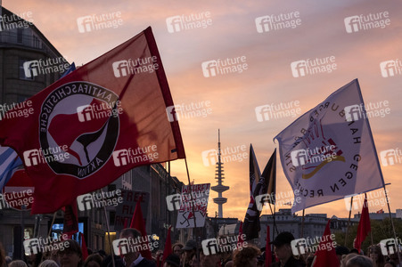 Demo gegen AfD in Hamburg