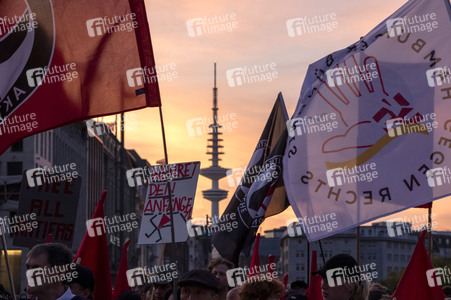 Demo gegen AfD in Hamburg