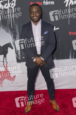 Filmpremiere 'The Thicket' in Los Angeles