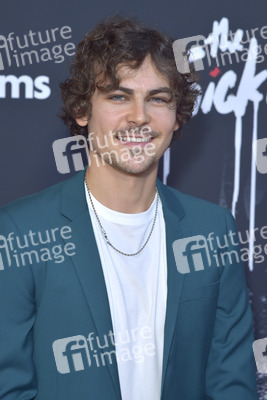 Filmpremiere 'The Thicket' in Los Angeles