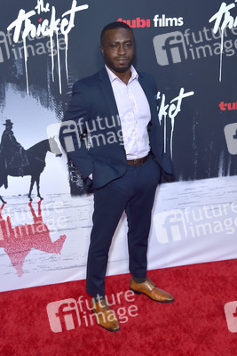 Filmpremiere 'The Thicket' in Los Angeles