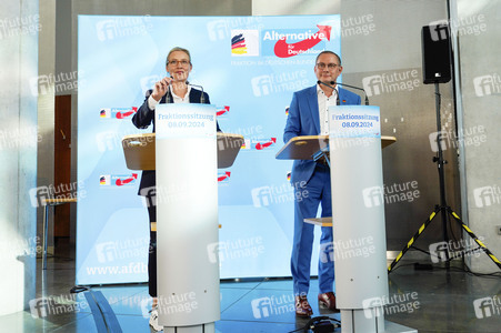 Fraktionssitzung der AfD-Bundestagsfraktion in Berlin