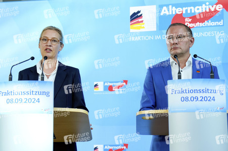 Fraktionssitzung der AfD-Bundestagsfraktion in Berlin