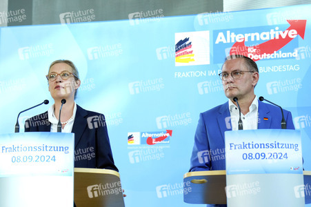 Fraktionssitzung der AfD-Bundestagsfraktion in Berlin