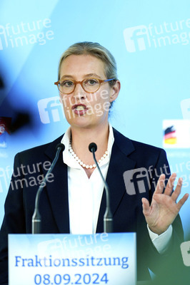 Fraktionssitzung der AfD-Bundestagsfraktion in Berlin