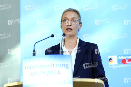 Fraktionssitzung der AfD-Bundestagsfraktion in Berlin