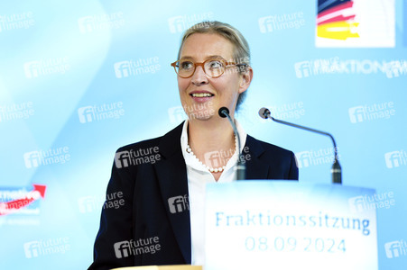 Fraktionssitzung der AfD-Bundestagsfraktion in Berlin