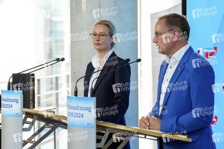 Fraktionssitzung der AfD-Bundestagsfraktion in Berlin