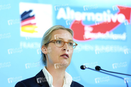 Fraktionssitzung der AfD-Bundestagsfraktion in Berlin