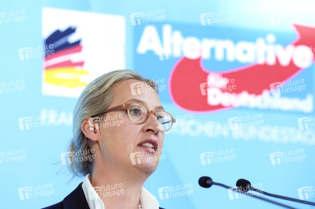 Fraktionssitzung der AfD-Bundestagsfraktion in Berlin