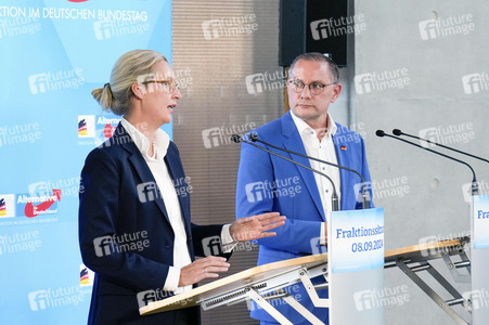 Fraktionssitzung der AfD-Bundestagsfraktion in Berlin