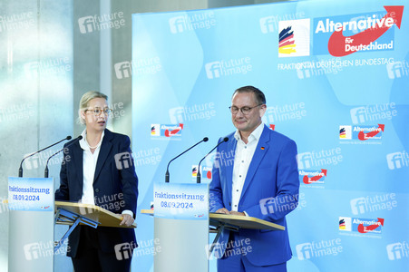 Fraktionssitzung der AfD-Bundestagsfraktion in Berlin