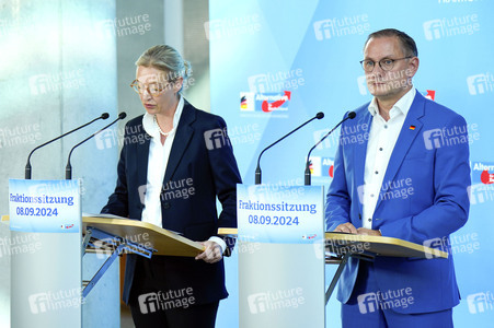 Fraktionssitzung der AfD-Bundestagsfraktion in Berlin