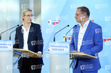 Fraktionssitzung der AfD-Bundestagsfraktion in Berlin