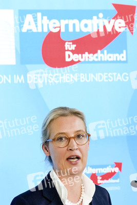 Fraktionssitzung der AfD-Bundestagsfraktion in Berlin