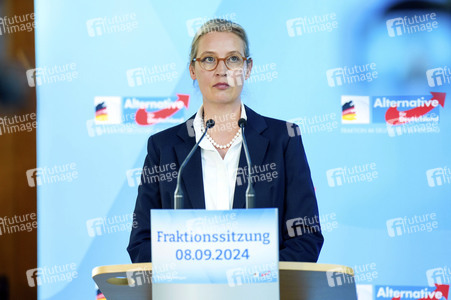 Fraktionssitzung der AfD-Bundestagsfraktion in Berlin