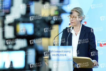 Fraktionssitzung der AfD-Bundestagsfraktion in Berlin