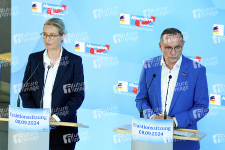 Fraktionssitzung der AfD-Bundestagsfraktion in Berlin