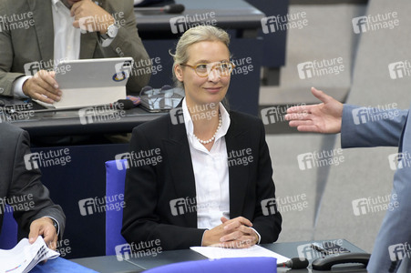 183. Sitzung des Deutschen Bundestages in Berlin