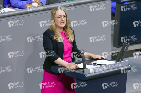 184. Sitzung des Deutschen Bundestages in Berlin