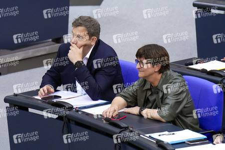 184. Sitzung des Deutschen Bundestages in Berlin