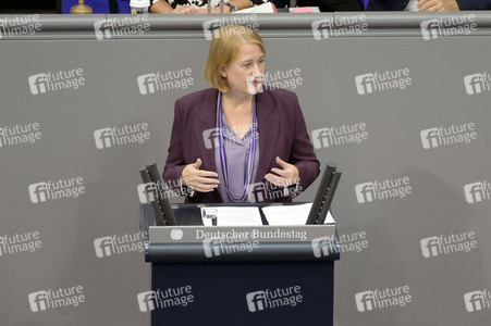 185. Sitzung des Deutschen Bundestages in Berlin