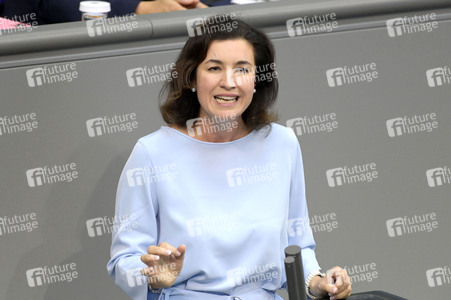 185. Sitzung des Deutschen Bundestages in Berlin