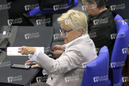 185. Sitzung des Deutschen Bundestages in Berlin