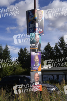 Wahlplakate in Bernau bei Berlin