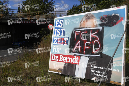 Wahlplakate in Bernau bei Berlin