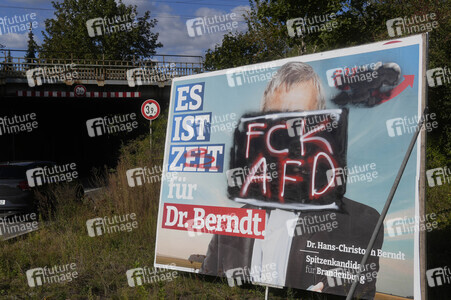 Wahlplakate in Bernau bei Berlin